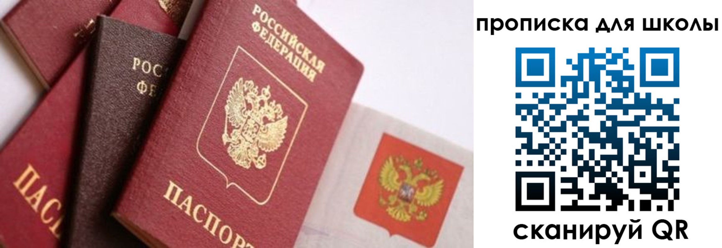 прописка поиск в Ставропольском крае
